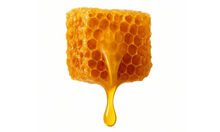 Multifloral  Forest  Honey