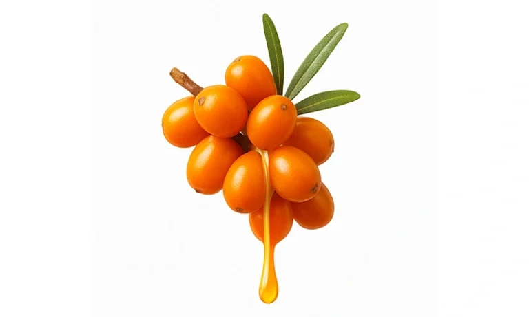 Sea‑buckthorn Oil
