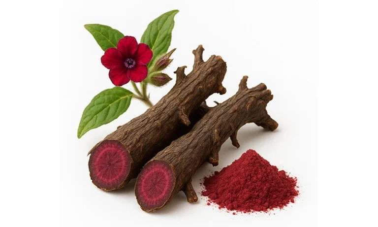NANO RATANJOT EXTRACT