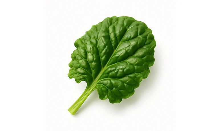 Nano Spinach Extract
